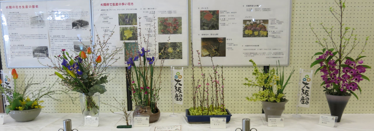 大阪産の生産高日本一位の花：アイリス