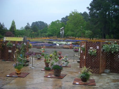 花の文化園5月の大花壇風景