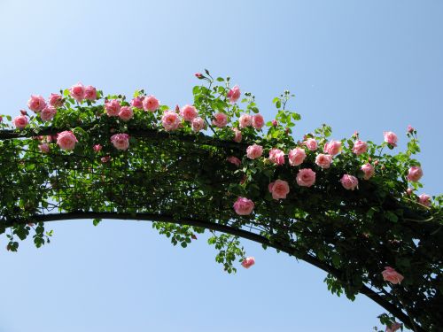 �X�p�j���b�V���E�r���[�e�B�̗��܂�A�[�`