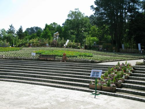 5月18日植え替えの大花壇