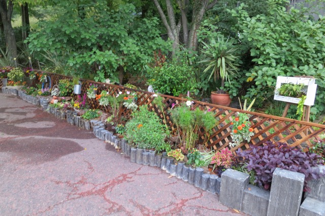 ウエルカムゾーン風の庭は、ペットボトルハンギングなどを使った花育フラワーガーデン