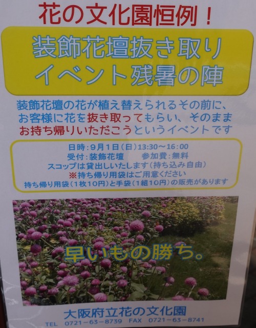 花の文化園にて 花のボランティア 19年9月