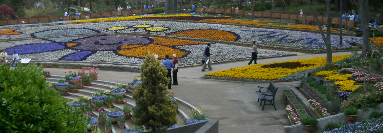 フルルちゃんのデザイン花絵の2008年春の花の文化園大花壇