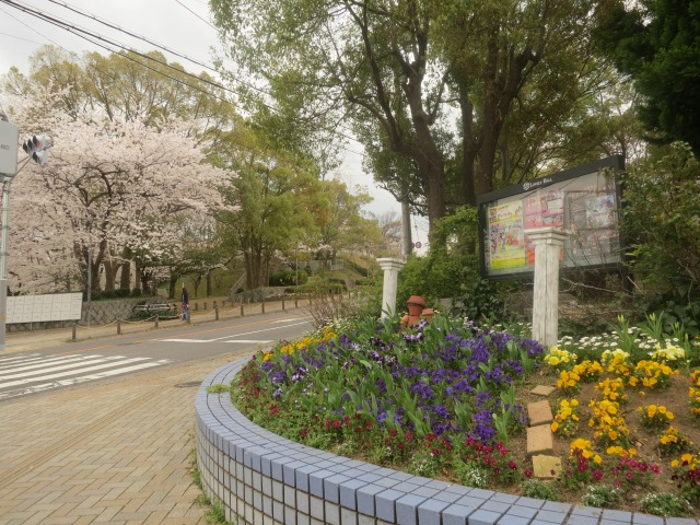 桜の下の交差点花壇