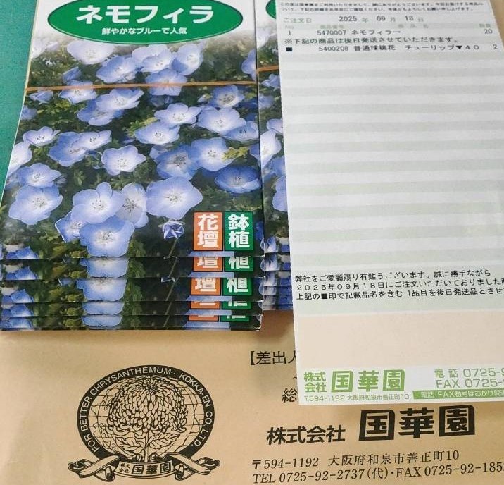 ネモフィラの種注文書