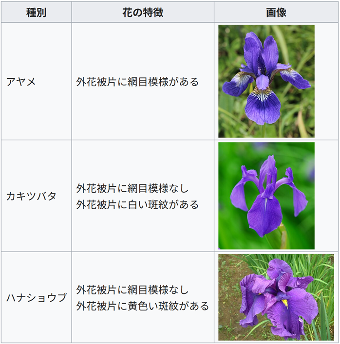 アヤメ　外花被片に網目模様がある.カキツバタ外花被片に網目模様なし。外花被片に白い斑紋がある.ハナショウブ	外花被片に網目模様なし、外花被片に黄色い斑紋がある